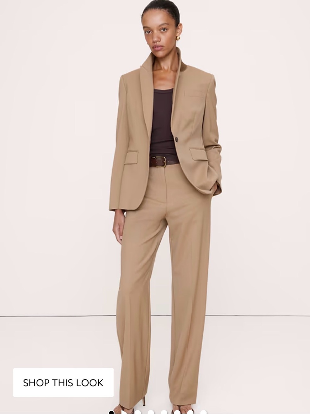 Banana Republic- Italian light weight wool straight  Women's  in Camel